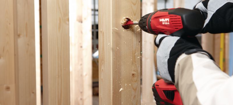 WDB-S Speedboorset Vlinderboorset voor het snel boren van ondiepe gaten in hout Toepassingen 1