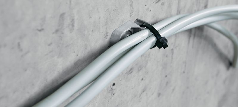 X-ECT MX Tyrapmontage Plastic houder voor kabel- en leidingbundels voor gebruik met nagels op strip Toepassingen 1