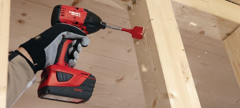 WDB-S Speedboor Vlinderboor voor het snel boren van ondiepe gaten in hout Toepassingen 1